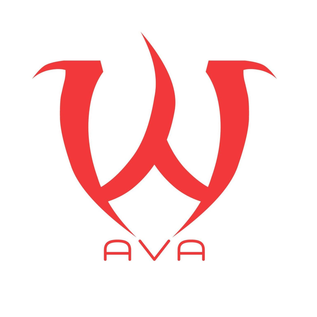 AVA MACHINES 